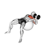 dumbbell one arm press on exercise ball animation