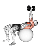 dumbbell one arm pullover on exercise ball animation