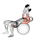 dumbbell pullover hip extension on exercise ball animation