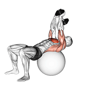 dumbbell pullover on exercise ball animation