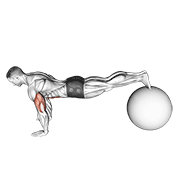 exercise ball pike push up animation