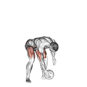 medicine ball chest push from 3 point stance animation