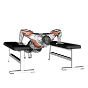 weighted drop push up animation