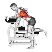 lever unilateral row animation