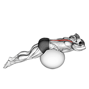 back extension on exercise ball animation