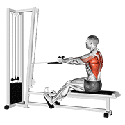 cable rope seated row animation