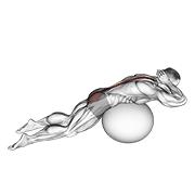 exercise ball back extension with hands behind head animation