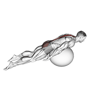 exercise ball back extension with knees off ground animation