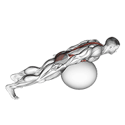 exercise ball back extension with rotation animation