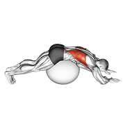 exercise ball lower back stretch (pyramid) animation