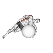 exercise ball lying side lat stretch animation