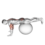 exercise ball prone leg raise animation