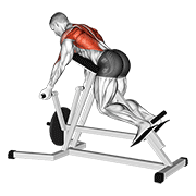lever reverse t-bar row animation