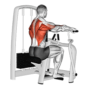 lever seated row animation