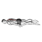 lower back curl animation
