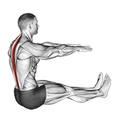 spine stretch animation