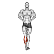 ankle circles animation