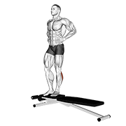box jump down with one leg stabilization animation