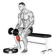 dumbbell seated one leg calf raise - palm up animation