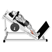 hack calf raise animation