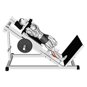 hack one leg calf raise animation