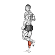 one leg floor calf raise animation