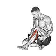 posterior tibialis stretch animation