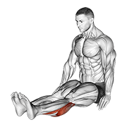 seated calf stretch (male) animation