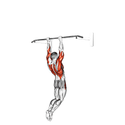 muscle-up (on vertical bar) animation