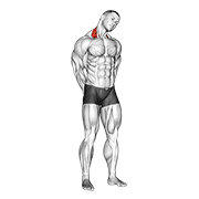 neck side stretch animation