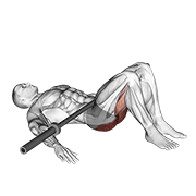 barbell glute bridge animation