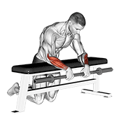 barbell palms down wrist curl over a bench animation