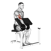 dumbbell one arm reverse preacher curl animation
