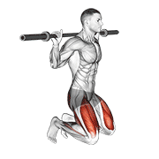 kneeling jump squat animation
