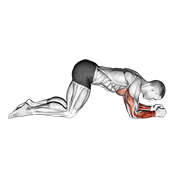 modified push up to lower arms animation