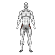 straight leg outer hip abductor animation