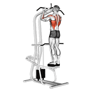 assisted standing chin-up animation