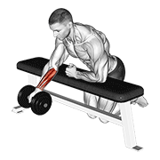 dumbbell over bench one arm reverse wrist curl animation