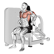 lever seated dip animation