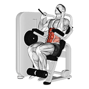 lever seated crunch animation