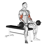 ez barbell seated curls animation