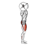 barbell full squat (side pov) animation