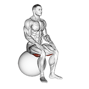 exercise ball seated hamstring stretch animation