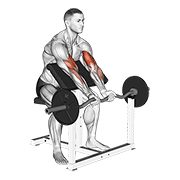 ez barbell close grip preacher curl animation