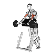 ez barbell spider curl animation