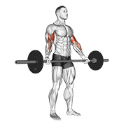 barbell standing wide grip biceps curl animation