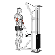 cable drag curl animation