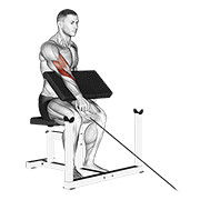 cable one arm reverse preacher curl animation
