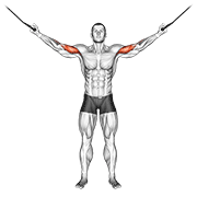 cable overhead curl animation