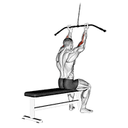 cable pulldown bicep curl animation